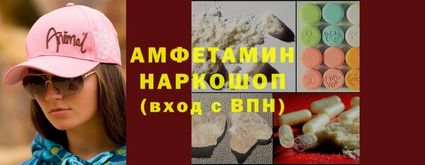 СК Алексин