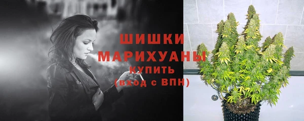 spice Абаза