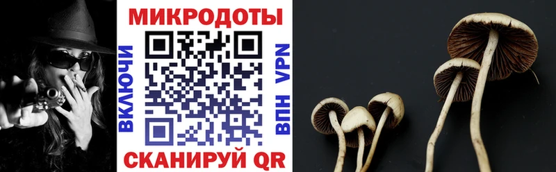 Псилоцибиновые грибы MAGIC MUSHROOMS  Полтавская 